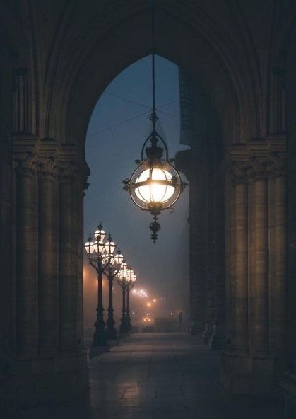 Dark Victorian, Dark Acadamia, Aesthetic Dark Academia, Victorian Aesthetic, Escape Reality, Travel Outdoors, Street Lamp, Dark Academia Aesthetic, Academia Aesthetic