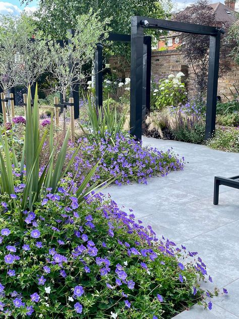 Winchmore Hill Contemporary Garden Design — Hampstead Garden Design | Garden Designer North London Geometric Garden, Contemporary Garden Design, Hillside Garden, London Garden, Patio Garden Design, Garden Design Layout, Garden Designer, Modern Garden Design, Garden Architecture