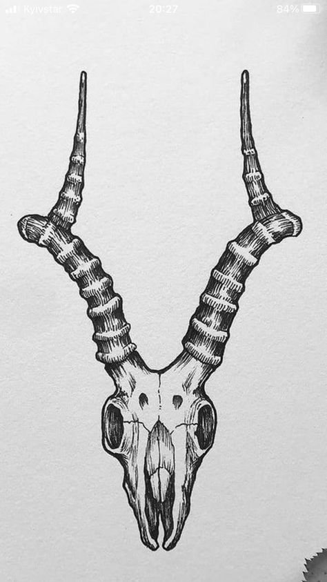 Longhorn Skeleton Tattoo, Horned Goat Tattoo, Cow Skull Reference, Antelope Skull Drawing, Impala Tattoo Animal, Gazelle Skull Tattoo, Ramskull Tattoo Design, Horned Skull Tattoo, Deer Skull Side View