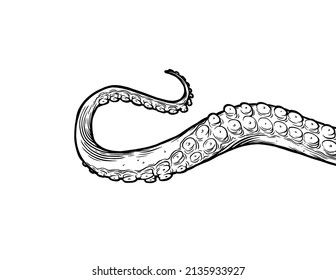 Tentacles Drawing Illustration On White Background Stock Illustration 1965487150 | Shutterstock Octopus Tentacles Drawing Simple, Tenticals Drawing Reference, How To Draw Tentacles, Tentacles Drawing Reference, Tentacle Illustration, Tentacle Drawing, Lovecraftian Creatures, Octopus Tentacles Drawing, Tentacles Drawing