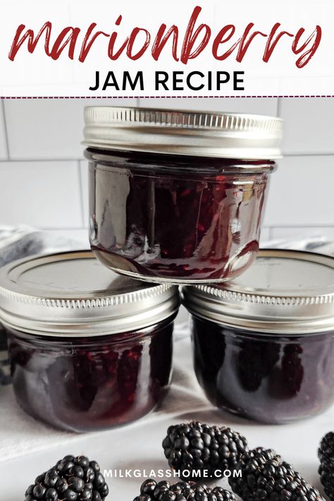 Delight your taste buds with the exquisite flavor of homemade Marionberry Jam! :grapes::honey_pot: Made from juicy and plump marionberries, this sweet and tangy jam is a must-try for any berry lover. Learn how to make this delectable treat in just a few simple steps and add it to your breakfast toast, desserts, or pair it with cheese for an unforgettable flavor combination. #MarionberryJam #HomemadeJam #JamRecipes #BreakfastIdeas Marionberry Jam Recipe, Marion Berry, Marionberry Jam, Low Sugar Jam, Jam Making, Homemade Jams, Berry Jam, Blackberry Jam, Victory Garden