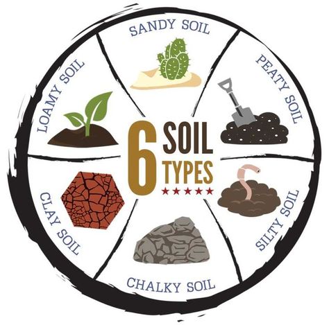 A good resource on soil types. Soil Activities, Soil Conservation, Soil Types, Preschool Garden, Soil Type, Soil Texture, Permaculture Design, Soil Testing, Soil Layers