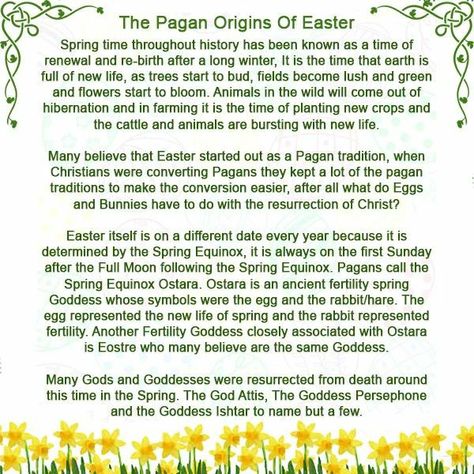 Pagan Origins Of Easter, Witchcraft Tarot, Which Witch, Vernal Equinox, Pagan Altar, Book Of Shadow, Spring Equinox, Pagan Witchcraft, Long Winter