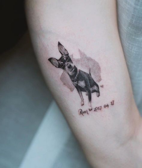 Shego Tattoo, Min Pin Tattoo, Pet Portrait Tattoos, Tattoo Tv Shows, Comic Book Wallpaper, Small Dog Tattoos, Tattoos Dog, Pawprint Tattoo, Portrait Tattoos