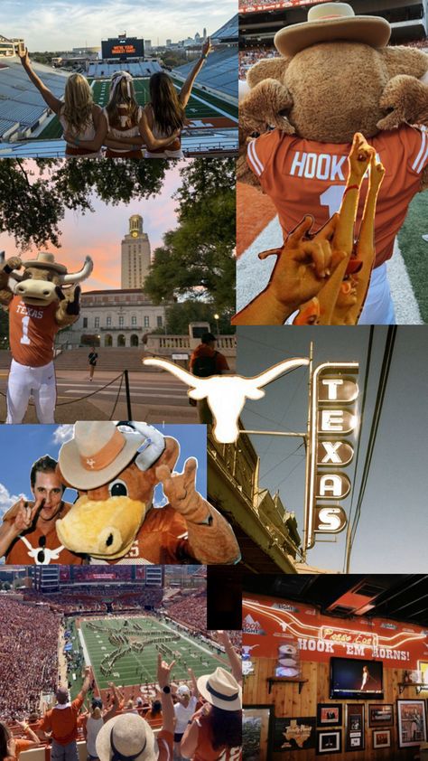 Texas University Longhorns, College Bucket List, Ut Longhorns, College Vision Board, Hook Em Horns, Ut Austin, College Aesthetic, College Board, Freshman College