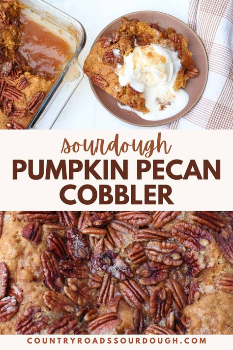 This ooey gooey Sourdough Pumpkin Pecan Cobbler is the perfect fall dessert! Made with pumpkin puree, sourdough discard, and a rich caramel sauce, it's a sweet, cake-like treat that’s great for Thanksgiving. Topped with crunchy pecans and brown sugar, this cobbler combines the best of fall baking flavors. Easy to make and irresistibly delicious, it’s a must-try recipe for pumpkin lovers and the perfect way to celebrate the season. Serve warm from the oven! Pumpkin Sourdough Discard Bars, Sourdough Pumpkin Cobbler, Sourdough Discard Recipes Thanksgiving, Sourdough Pecan Pie, Thanksgiving Recipes Pumpkin, Pumpkin Spice Sourdough, Sourdough Pumpkin Dessert, Sourdough Pumpkin Recipes, Pumpkin Sourdough Recipes