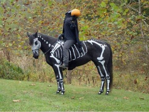 Headless Horseman Costume Horse Halloween Ideas, Headless Horseman Costume, Custom Horse Stalls, Horse Halloween Costumes, Spooky Costumes, Horse Costumes, Headless Horseman, Horse And Rider, Halloween Costume Contest