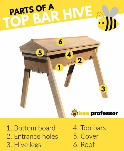 What Is A Top Bar Hive? A Beekeeper's Guide 2023 Bee Professor Top Bar Bee Hive, Bee Yard, Harvesting Honey, Top Bar Hive, Backyard Bee, Bar Top, Bee Keeping, Pros And Cons, Bee Hive