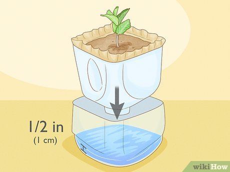 3 Ways to Reuse Milk Jugs in the Garden - wikiHow Milk Jug Greenhouse, Milk Jug Planter, Milk Jugs Garden, Plastic Jugs, Planting Pot, Self Watering Pots, Backyard Vegetable Gardens, Garden Steps, Self Watering Planter