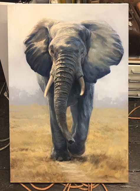 Elephant Painting Canvas, Painting Elephant, Elephant Canvas Art, Canvas Art For Sale, Elephant Photography, Elephant Artwork, Elephants Photos, Canvas For Beginners, Elephant Canvas