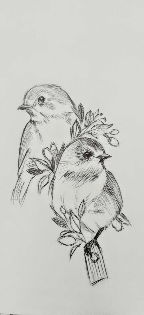 Bird Study Drawing, Blue Bird Sketch, Flora And Fauna Drawing, Spiderman Art Sketch, Nature Art Drawings, Bird Sketch, Animal Drawings Sketches, Pencil Sketch Images, Flora Y Fauna