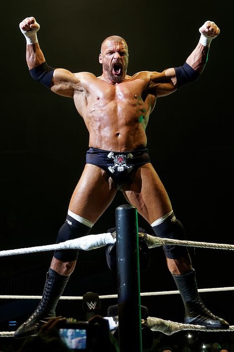 Male Cyberpunk, Triple H Wwe, Wwe Icons, Buff Guy, Buff Men, Human Pose, Male Wrestlers, Famous Wrestlers, His Ring