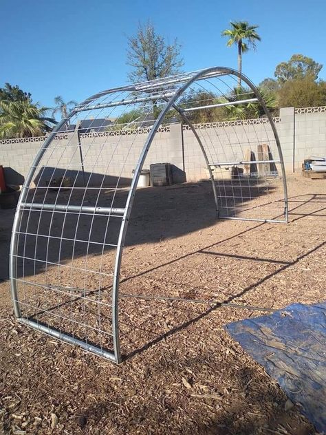 Greenhouse From Trampoline Frame, Trampoline Archway, Trampoline Arch, Trampoline Garden Ideas, Trampoline Repurpose Ideas, Trampoline Trellis, Trampoline Frame Repurpose, Old Trampoline Frame Ideas, Trampoline Upcycle