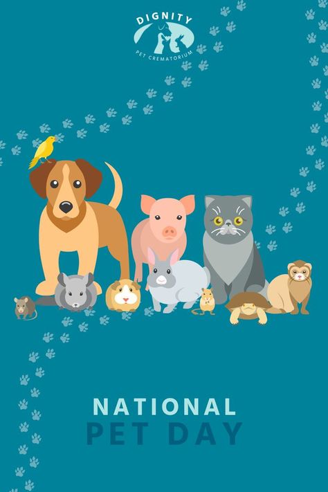 Celebrating pets of all shapes and sizes today for National Pet Day. Which animals are you spending today with? Or maybe your looking back at memories of the pets you've welcomed into your life over the years. National Pet Day 2024, National Pet Day, National Days, Holiday Specials, Over The Years, Festival, Animals, Art