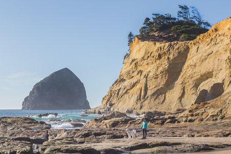 Cape Kiwanda State Natural Area: An Oregon Coast Beauty - Roadesque Pacific City Oregon, Cape Kiwanda, Oregon Beaches, Pacific City, Popular Travel Destinations, Oregon Travel, Olympic National Park, Coastal Towns, Oregon Coast