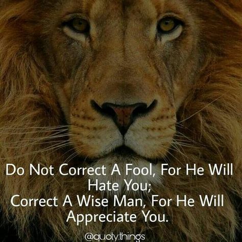 Don't bother arguing with a fool Dont Argue With Fools Quotes, Arguing With Fools, I Don’t Argue Quotes, Don’t Argue With People, Don't Argue With A Fool, Don’t Argue With Fools, Arguing Quotes, Fool Quotes, Dont Be Rude