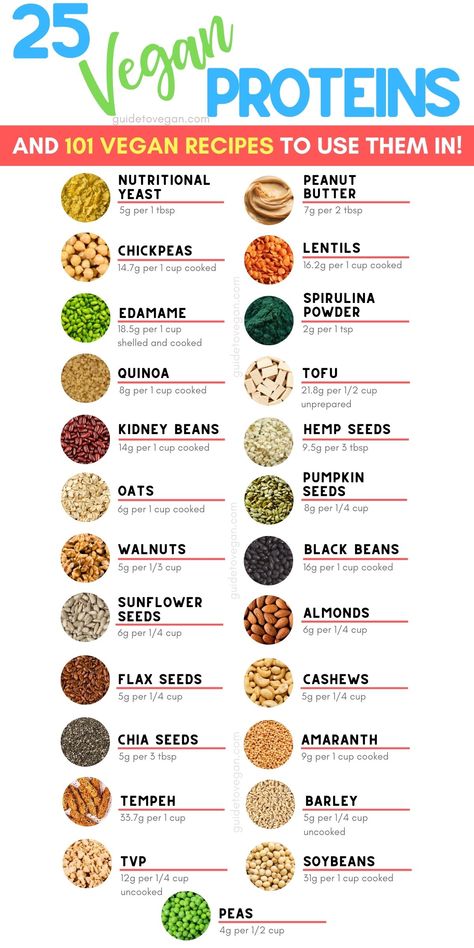 A graphic showing the top 25 vegan protein sources. Plant Based Tips, Vegan Protein Ideas, High Protein Substitutes, Veg High Protein Food, Plant Protein Snacks, High Protein Whole Foods, Plant Based Bulking Meals, Veg High Protein Recipes, High Protein Vegan Snacks On The Go