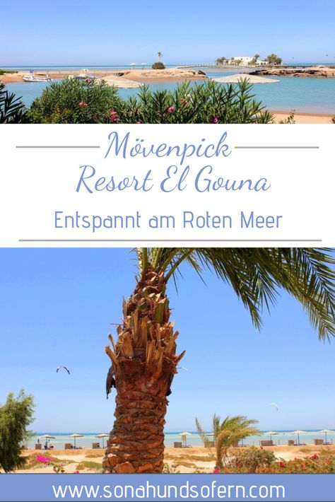 El Gouna am Roten Meer in Ägypten ist ein sehr schöner sicherer Ort mit vielen wunderschönen Resorts, wie dem Mövenpick Resort und Spa El Gouna El Gouna, Egypt Travel, Travel Spots, World Pictures, Travel Companies, One Million, North Africa, Travel Lifestyle, Indian Ocean