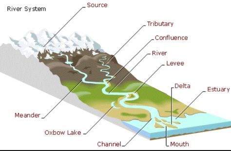 2.1 River Features - GEOGRAPHY FOR 2019 & BEYOND Earth Template, Biological Weathering, Geography Vocabulary, Hydrological Cycle, Types Of Poems, Earth Science Lessons, Ing Civil, Weathering And Erosion, Geography For Kids