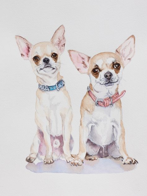 CHihuahua | Pet Portraits by Sherry D Chihuahua Training, Chihuahua Art, Dog Portraits Art, Watercolor Pet Portraits, Chihuahua Lover, Cute Chihuahua, Dog Painting, Chihuahua Love, Chihuahua Dogs