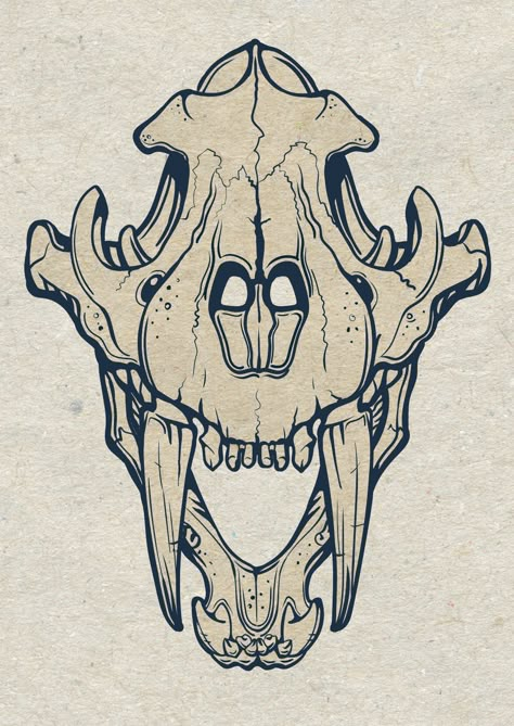 Tiger Skull Tattoo Design, Tiger Skull Reference, Tiger Skeleton Tattoo, Tiger Skull Tattoo, Smilodon Skull, Tiger Skeleton, Animal Skull Drawing, Tiger Skull, Skull Reference