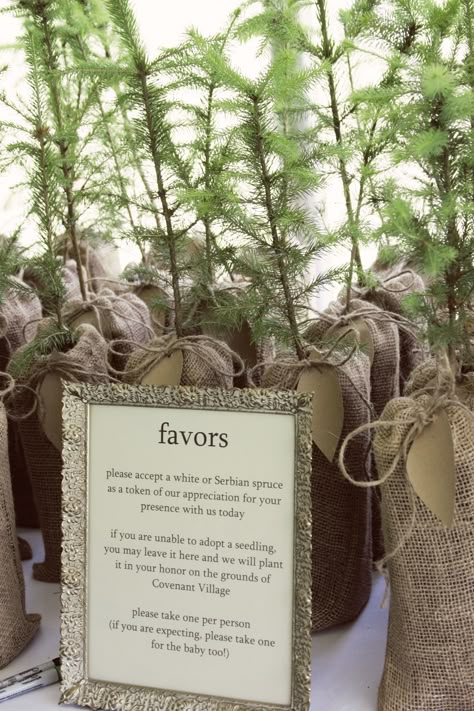 plant-a-tree wedding party favors mmmm order from the forest department...think for free  Love this. Maybe these seedlings as a centerpiece? Seeds for favors? Tree Wedding Favors, Plant Wedding Favors, Succulent Wedding Centerpieces, Tree Seedlings, Woodsy Wedding, Diy Party Favors, Burlap Bags, Eco Wedding, Boda Mexicana