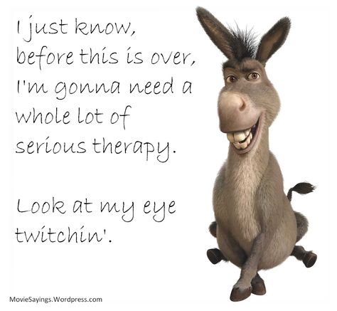 Donkey In Shrek, Donkey Quotes, Funny Donkey Pictures, Donkey From Shrek, Shrek Quotes, Shrek Donkey, Grad Quotes, Planner Quotes, Best Movie Quotes