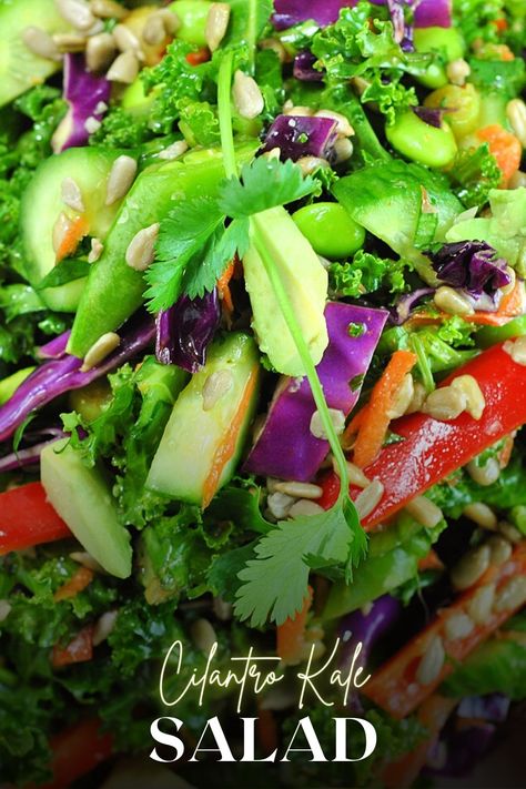 Cilantro Kale Salad with Sesame Ginger Dressing Salad With Sesame Ginger Dressing, Cilantro Salad, Sesame Ginger Dressing, Cabbage Rice, Sesame Dressing, Sesame Ginger, Veggie Meals, Pear Salad, Ginger Dressing