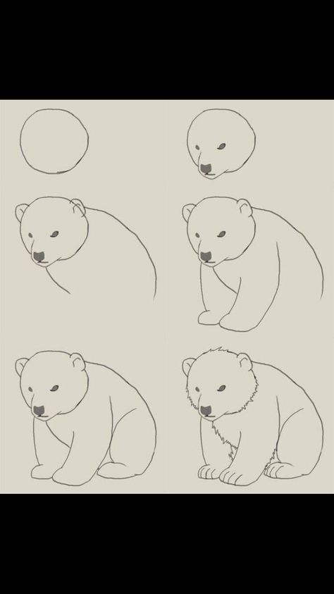 Polar Bear Drawing, Early Learning Activities, Bear Drawing, Locked Wallpaper, Art How, Polar Bears, Winter Pictures, Window Painting, Cute Easy Drawings