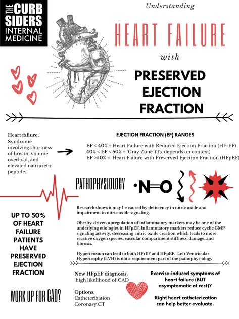 Cath Lab Nursing, Ejection Fraction, Heart Catheterization, Medical Laboratory Science Student, Heart Fail, Acute Coronary Syndrome, Nursing School Essential, Nurse Study Notes, Cardiac Nursing