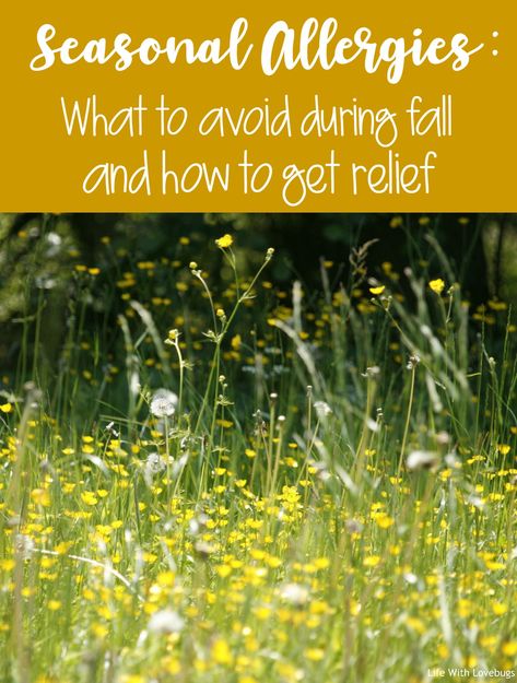 Seasonal Allergies: What to avoid during fall and how to get relief! Severe Allergy Relief, Fall Allergy Relief, Seasonal Allergy Relief, Fall Allergies, Natural Remedies For Allergies, Allergy Remedies, Watery Eyes, Allergy Relief, Seasonal Allergies