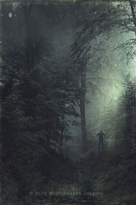 Dense Forest, Last Resort, Still Photography, Forest Photography, Man Standing, New Blog Post, November 17, Landscape Trees, Fine Art Photography