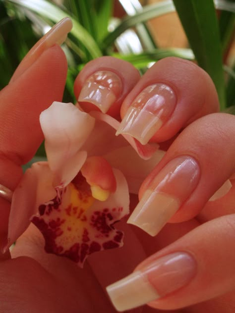 Long Natural Looking Acrylic Nails, Real Natural Nails, Long Natural Nails Aesthetic, Long Real Nails, Clear Natural Nails, Natural Nails Real, Real Long Nails, Nail Art Natural Nails, Nails Real