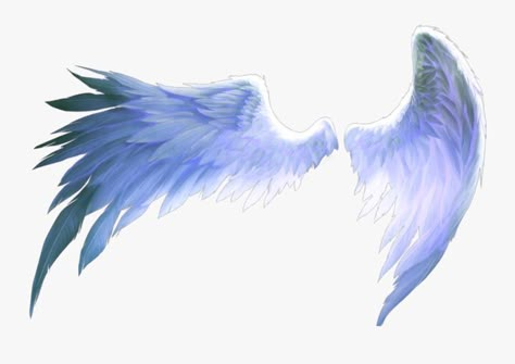 Demon Wings Aesthetic, Enchantix Wings, Anime Wings, Wings Aesthetic, Types Of Wings, Angel Wings Png, Wings Sketch, Character Writing, Blue Aesthetics