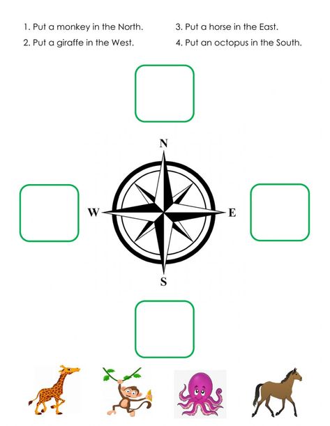 Cardinal Directions Worksheet, Directions Worksheet, States Of Matter Worksheet, Vertebrates And Invertebrates, Matter Worksheets, Cardinal Directions, Easter Hat, Homeschool Lesson Plans, Cut And Paste Worksheets