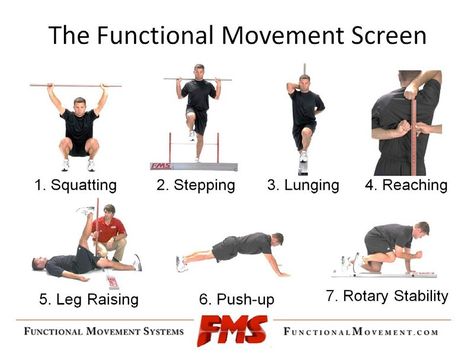 FMS: Functional Movement Systems | FlexibilityRx™ - Performance Based… Fitness Knowledge, Hybrid Training, Fitness Assessment, Sport Medicine, Functional Exercises, Exercise Science, Functional Movement, Functional Workouts, Exercise Physiology