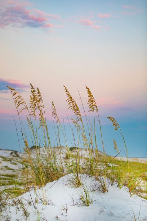 Catch the sunset in Panama City at one of Florida's most beautiful state parks. City Pics, City Sunset, Sunset City, Panama City, Panama City Panama, The Sunset, Panama, State Parks, Outdoor Living