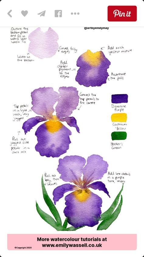 Watercolour Iris, Hur Man Ritar Blommor, Watercolor Iris, Watercolour Tutorial, Painting Ideas Easy, Learn Watercolor Painting, Iris Painting, Watercolor Flowers Tutorial, Watercolor Beginner