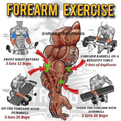 forearm exercise Best Forearm Exercises, Forearm Exercises, At Home Workout Routine, Arm Day Workout, Gym Workout Apps, Ripped Workout, Home Workout Ideas, Full Body Dumbbell Workout, Home Workout Routine