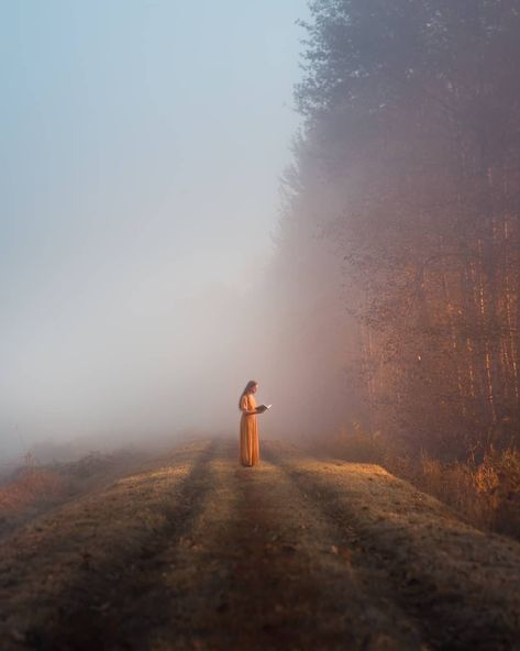 Fog Photography, Sunrise Pictures, Artificial Christmas Garland, Photography Basics, White Lights, Portrait Design, Beautiful Places To Travel, Christmas Collection, Christmas Garland