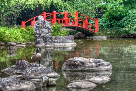 The 20 Best Things To Do In Huntsville, Alabama for First-Time Visitors Places To Visit In Alabama, Things To Do In Alabama, Talladega National Forest, Huntsville Botanical Gardens, Most Beautiful Places To Visit, Alabama Travel, Beautiful Sites, Orange Beach, The Crazy