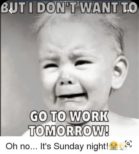 Funny Sunday Memes, Sunday Humor, Baby Jokes, Workplace Humor, Monday Humor, Work Tomorrow, Go To Work, Office Humor, Work Memes