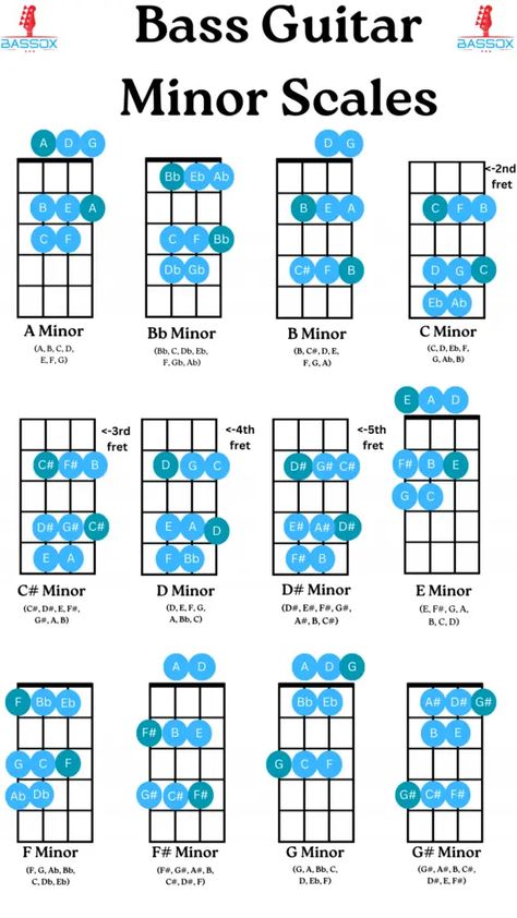 Minor Scales On The Bass Guitar (Infographic & Guide) - BassOx Basic Guitar Chords, Guitar Chords For Beginners, Chords For Beginners, Guitar Scales Charts, Tabs Guitar, Bass Guitar Notes, Bass Guitar Scales, Learn Bass Guitar, Guitar Chords And Scales