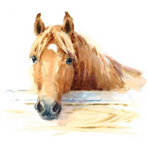 Horse in Stable Watercolor Animal Illustration Hand Painted. Hand painted Waterc , #spon, #Watercolor, #Animal, #Horse, #Stable, #Illustration #ad Horse In Stable, Watercolor Horse Painting, Horse Poster, Horse Posters, Horse Artwork, Watercolor Horse, Horse Drawing, Horse Drawings, Equine Art