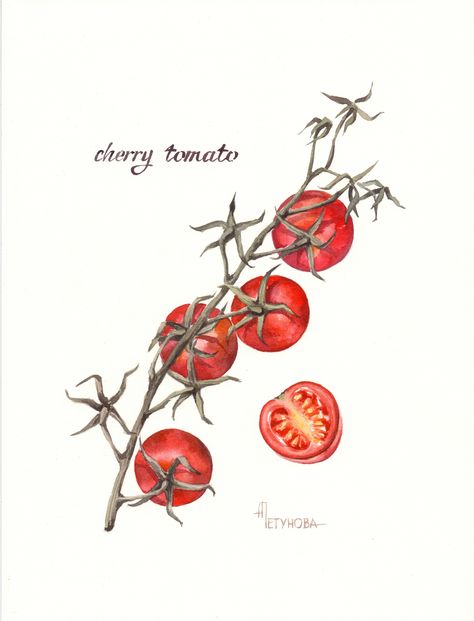 Botanical Tomato Illustration, Cherry Tomatoes Drawing, Tomato Vine Drawing, Tomato Plant Tattoo Simple, Cherry Tomato Drawing, Cherry Tomato Illustration, Men Tattoo Ideas Medium, Cherry Tomato Tattoo, Tomato Vine Tattoo