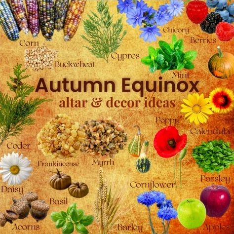 Mabon Correspondences Herbs, Mabon Correspondences, What Is Mabon, Mabon Crystals, Mabon Altar Crystals, Frankincense Myrrh, Altar Decorations, Buckwheat, Barley