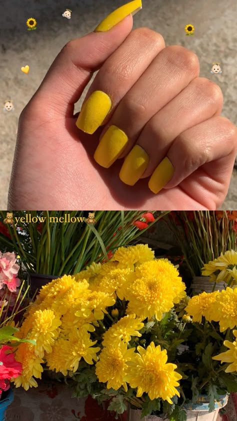 Haldi Asthetic Pictures, Haldi Story Ideas, Haldi Instagram Story Ideas, Haldi Snapchat Story, Caption For Haldi Pics, Haldi Quotes For Instagram, Haldi Captions For Instagram, Dry Skin Makeup, Instagram Editing Apps