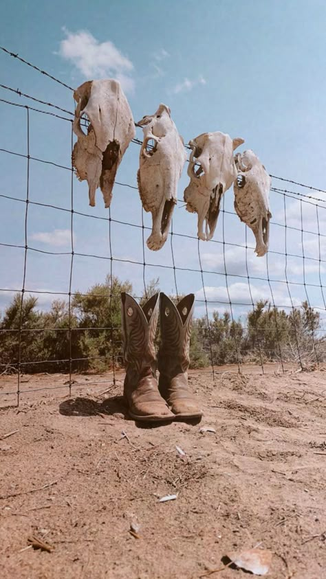 Western Still Life Photography, Neo Western Aesthetic, Country Boots Aesthetic, Western Life Aesthetic, Western Product Photography, Hillbilly Aesthetic, Rodeo Aesthetic Wallpaper, Western Mood Board, Western Vintage Aesthetic