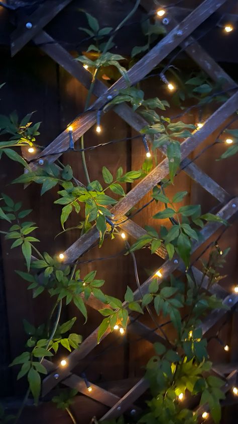 Garden fairy lights with climbing jasmine Fairy Lights Terrace, Fairy Lights Plants, Small Garden Decoration Ideas Diy, Firefly Garden Lights, Fairy Lights Garden Outdoor, Fenceline Garden, Balcony Fairy Lights, Fairy Lights Outside, Backyard Fairy Lights