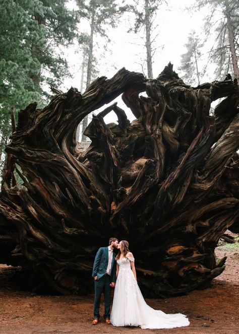 Sequoia National Park Engagement Photos, Sequoia Engagement Photos, Sequoia National Park Elopement, Sequoia National Park Wedding, Sequoia Wedding, Redwood Wedding, Sequoia National Park, National Park Wedding, Future Wedding Plans